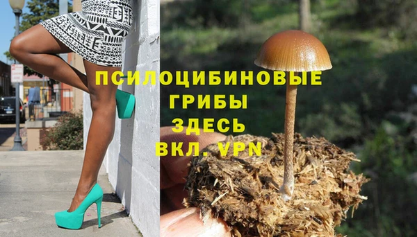 прущий лед Абаза