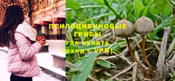 стаф Абдулино