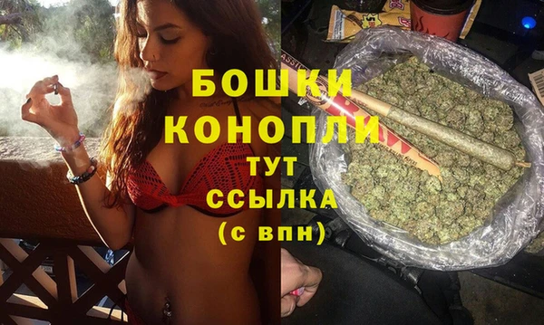 прущий лед Абаза