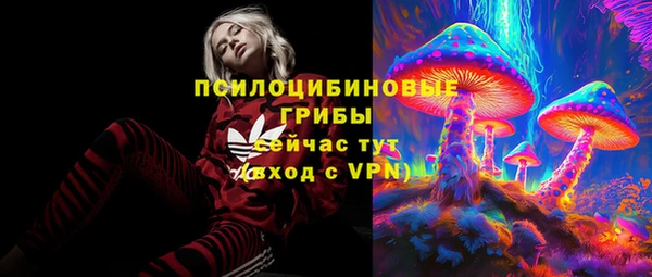 стаф Абдулино