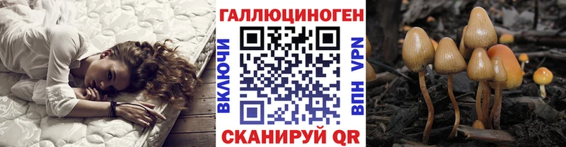 МЕГА рабочий сайт  Богданович  Галлюциногенные грибы Magic Shrooms 